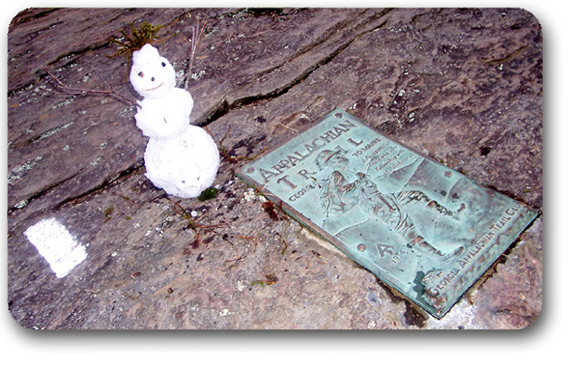 snowman on Springer