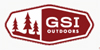 GSI